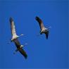 images/pictures/steffen/sts_036.jpg